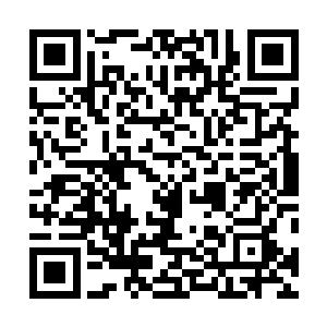 明天早晨整个花城的报纸铺天盖地的都是你们的新闻――二维码生成