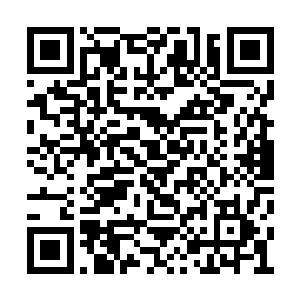 明天晚上咱们就在这西四环的广场上开个演唱会二维码生成