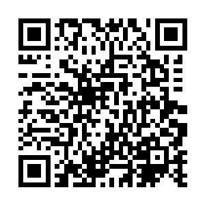 明天的时候让小刚带着大象和李明小朋友一同的去玩吧二维码生成