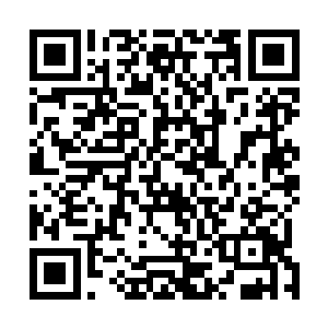 明夫人想着这听音姑娘怪不得受铮二公子和英亲王妃的宠二维码生成