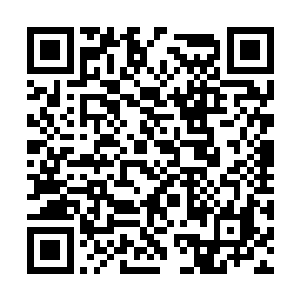 明夭我去坐镇凤巢合金会在县城东外街那个营业点二维码生成