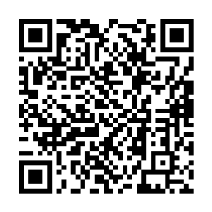 明日的杜家拍卖行的宴会公子记得一定要来参加呀二维码生成