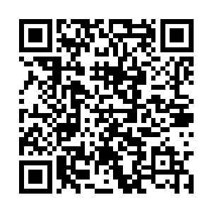 明明他都看见徐娇娇伸手将背后的背带扣都解开了二维码生成