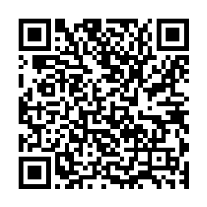 明明很早以前墨修尧就一直拿到了苍茫山潜伏在定王府的名单二维码生成