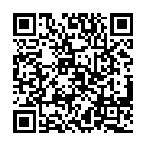 明明是在纽约给澹台明月买的世界顶级设计师设计的时装二维码生成