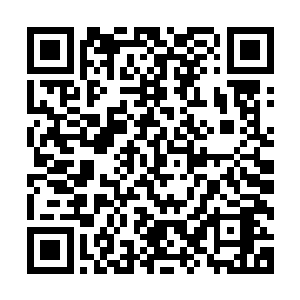 明明是那个雅布刚的弟弟雅布拉在练降头术的时候想要害死我二维码生成