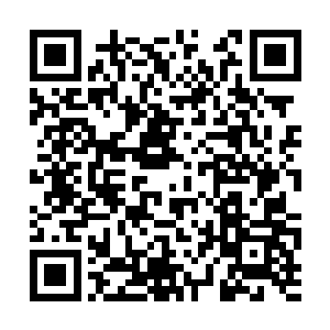 明明没用多大力就感觉那只跳鼠身体猛的抖了一下二维码生成