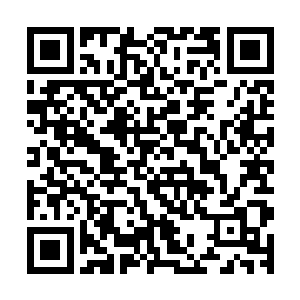 明明距离她还老远的人熊陡然加――它的后肢凶猛地踏在地上二维码生成