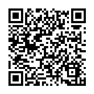 明明还涉及到实战性能甚至作战模式的不同好不好二维码生成