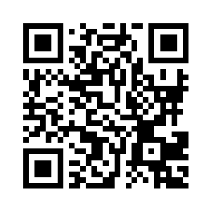 明明飞机……而且是战斗机……二维码生成