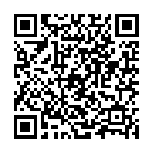 明星婚恋产业链制造了无数个富裕的婚姻家庭律师二维码生成