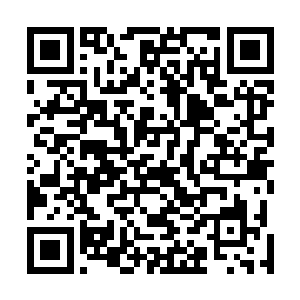 明显司马家族的挂笼之人从头到尾都没能发现此人的踪迹二维码生成