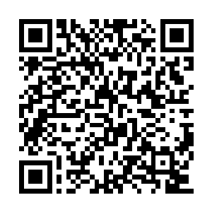 明显是小孩子爸妈的兄嫂或姐姐姐夫同时回过头二维码生成