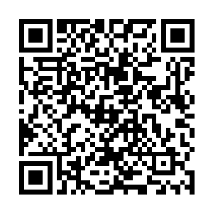 明显是被那缕神识上携带的血妖姬之力的气息给惊着了二维码生成