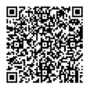 明显的是比之前半黑半白珠子自动开启对我身体的保护模式时候外溢出的半黑半白流光更显浓郁二维码生成