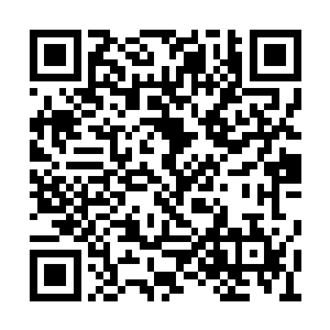 明显经过特殊改装的保姆车缓缓驶过了街道弯角二维码生成