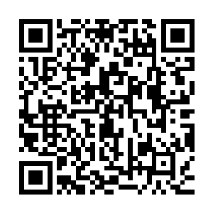 明晃晃的圆圈好像一个颈项圈一样准确的套在了杨东邪的脖子里二维码生成