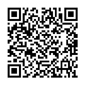 明湖文化关于下一步筹建多个个人工作室的消息二维码生成