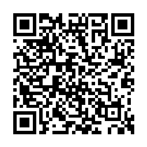 明湖文化并没有因为官方层面的重量级人物出席二维码生成