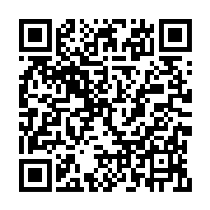 明珠和四位小皇子正在树下做虎头小狮子的工作二维码生成