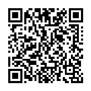 明白了老爸当初为什么不让我参与他们事的原因二维码生成
