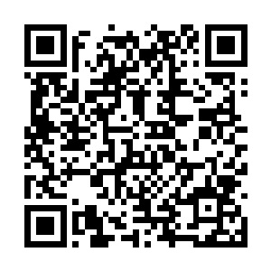 明白凌桦为什么一直都没有将它们的新品推向市场二维码生成