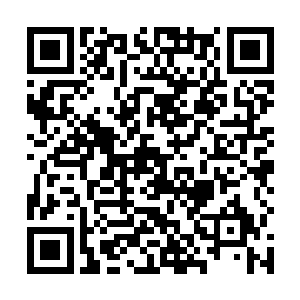 明眼人都知道即使楚家效忠了墨景黎也是得不到重要的二维码生成
