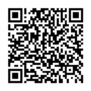 明眼人都知道这几块黑色的木板不可能会是神灵之棺二维码生成