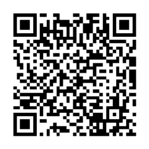 明知道对方有操控土壤能力的能力战士还敢就这么往下冲二维码生成