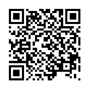 明确没有任何人是可以游离于法律之外的二维码生成