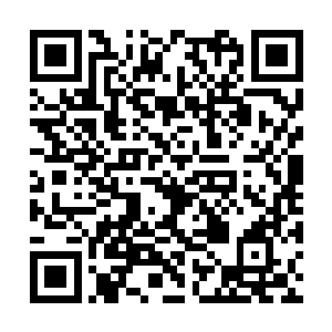 明蓁一侧头就看见明沅眼睛一瞬不瞬的盯着自个儿二维码生成