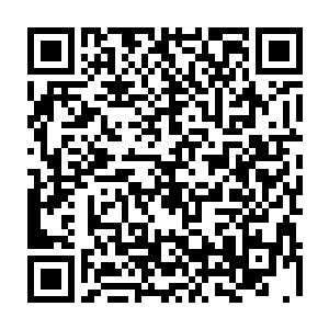 昏暗的天际里我居然看见了一条青色的类似龙一样的东西在奔着闪电而去二维码生成