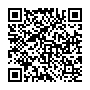 昏暗的月光与打瞌睡的星光一起交织了一张笼罩天地的睡梦之网二维码生成