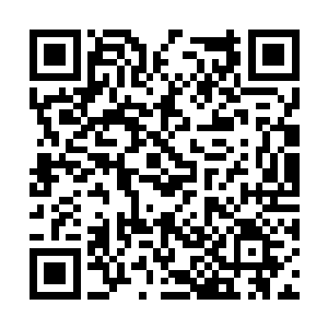 昏迷的人只需要抽几个耳光再用力摇晃两下就能醒二维码生成