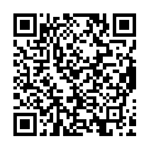 昏黄的余晖将西北角一丛白色的蔷薇花打上了一层淡淡的金光二维码生成