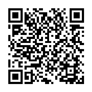 易北寒拖着伤痕累累的身体和杨辉一起返回莱茵学院后二维码生成