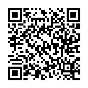 易北寒用手轻轻的将那名十夫长踢向他的右腿挡开二维码生成