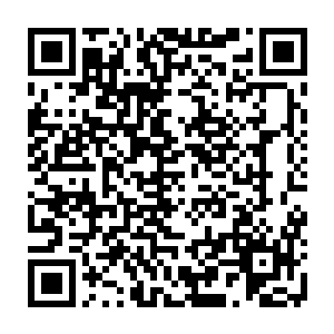 昔年清源妙道真君以绝顶高手的境界施展法天象地都能硬抗半步法身一击二维码生成