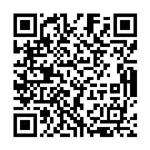 昔日土地婆曾说过他的幻境神通来源于墓内的鬼气影响二维码生成