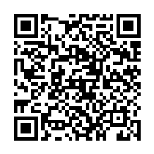 星云一号跟踪器已经录下了两次郑宏和情妇私会的场景二维码生成