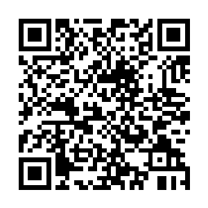 星光大道上就可以看到各式各样的表演者们开始一天的工作二维码生成