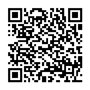 星光大陆上的两大势力的二公子俱都加入了星辰冒险团二维码生成