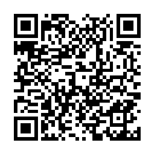 星域的数量和质量是决定域界强弱的重要数据之一二维码生成