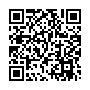 星域舱百分之九十九点九的仿真模拟二维码生成