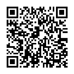 星座圣衣神禁擅长凝聚战甲和近身搏杀的仙道武学二维码生成