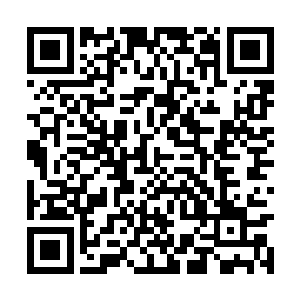 星族族长双眸之中爆射出来的星空蔓延到了许紫烟二维码生成