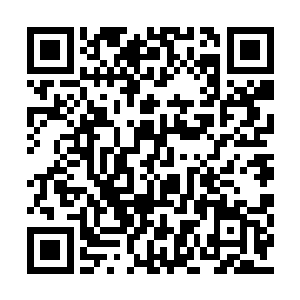 星族族长目光倨傲地看着日族族长和月族族长道二维码生成