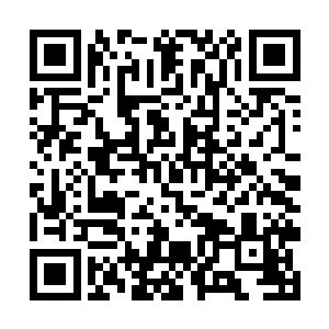 星月界全权交给刑法殿和执法殿的强者进行全力调查二维码生成