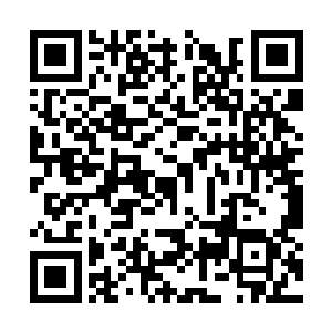 星木星火等人在听到星风的话后皆是哈哈大笑出声二维码生成