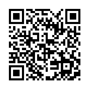 星河之神也是牢牢的将夏天守护在身后二维码生成